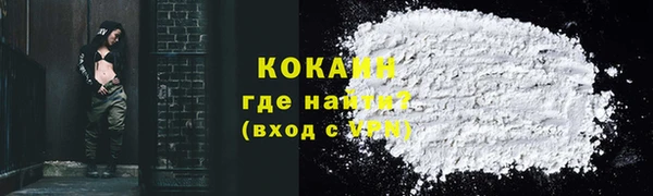 сатива Кодинск