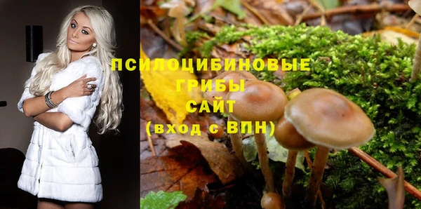 гидра Киренск