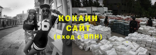 гидра Киренск